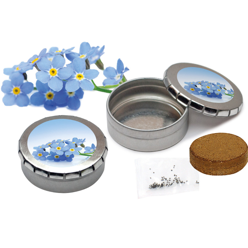 Forget-me-nots in tin | Eco gift
